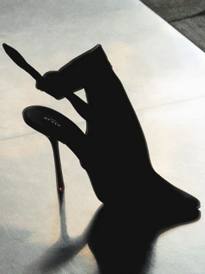 Close-up of a dark high-heeled shoe resting on a reflective metallic surface, casting a sharp shadow.