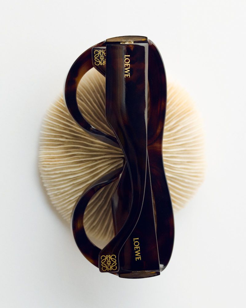 Tortoiseshell Loewe sunglasses sit on a beige textured surface, highlighted against a plain white background in an eye-level studio shot.