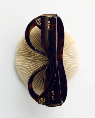 Tortoiseshell Loewe sunglasses sit on a beige textured surface, highlighted against a plain white background in an eye-level studio shot.