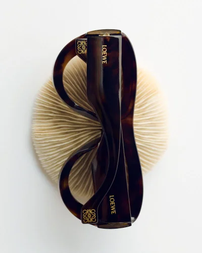 Tortoiseshell Loewe sunglasses folded vertically atop a round textured mushroom coral against a clean white background.