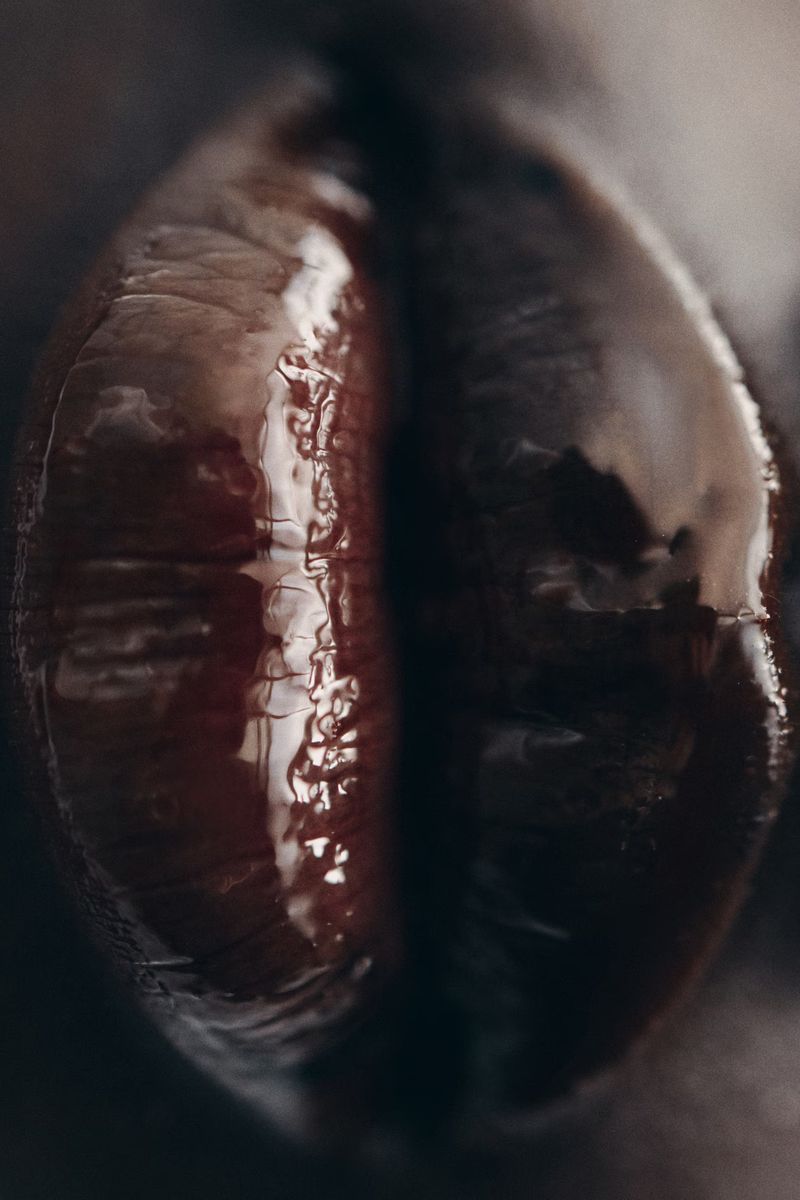 Macro shot of a shiny, dark brown coffee bean featuring detailed surface texture and rich, dark color against a blurred background.