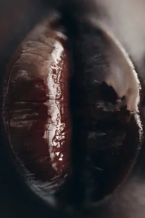 Macro vertical close-up of glossy dark brown lips with reflective high-shine finish for H&M Beauty SS25.