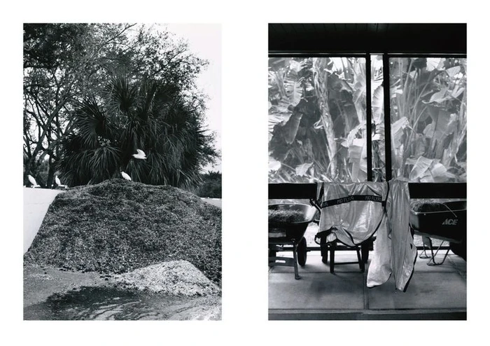 Black and white diptych featuring an outdoor landscape pile of mulch with birds on left and a porch interior with wheelbarrows on right