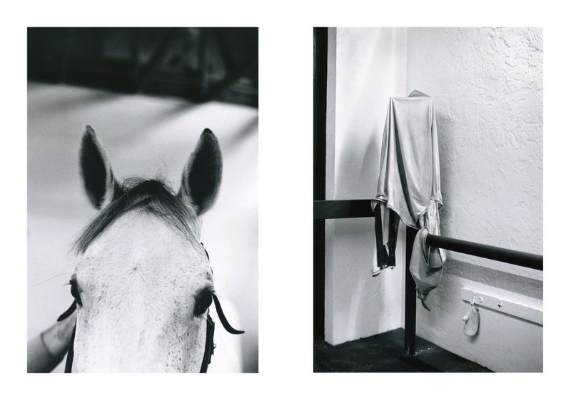 Diptyque black and white photograph featuring a horse head closeup on the left and a draped fabric in a stable on the right.