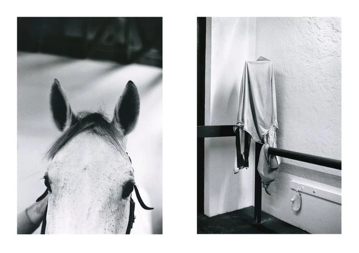 Diptyque black and white photograph featuring a horse head closeup on the left and a draped fabric in a stable on the right.