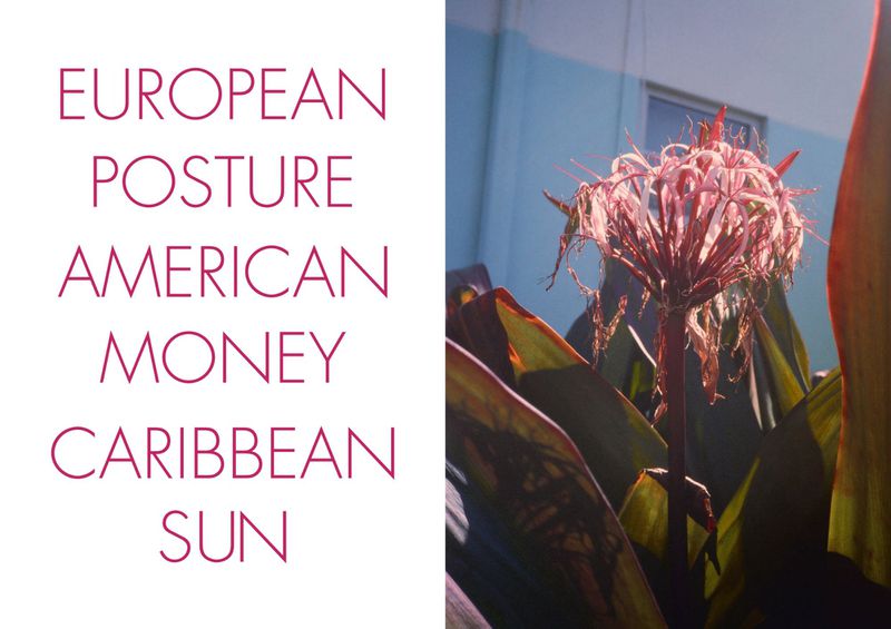 Pink typography on the left with a close-up photo of tropical flowers and large leaves against a blue building on the right.
