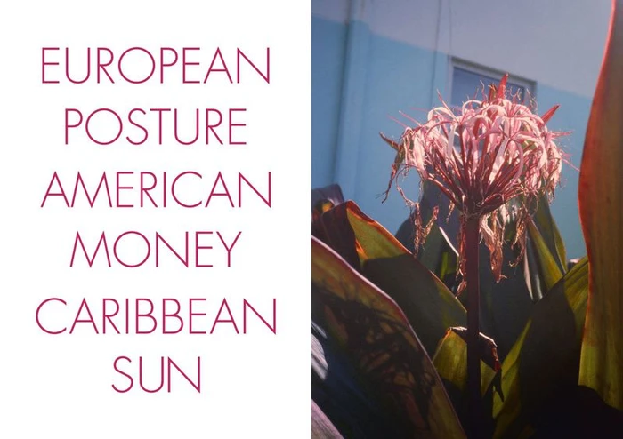 Pink typography on the left with a close-up photo of tropical flowers and large leaves against a blue building on the right.