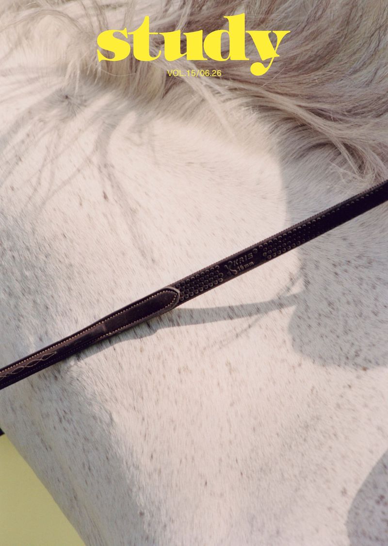 Close-up of a white horse with a dark leather rein crossing the frame diagonally under natural sunlight.