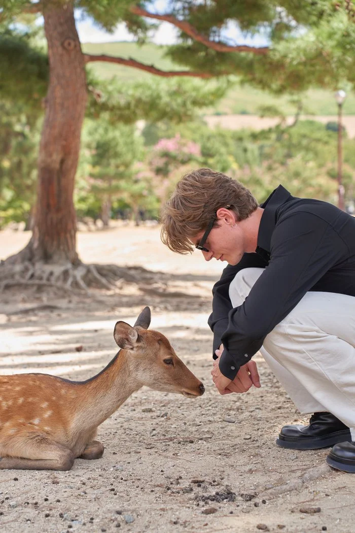 A young man crouching down outdoors on sandy ground, interacting face-to-face with a resting deer.