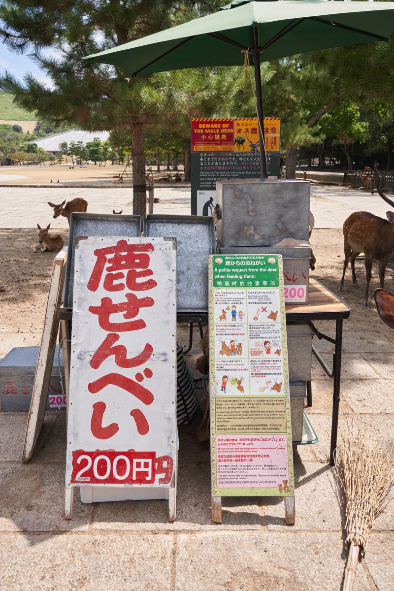 A deer cracker stand with a green umbrella and Japanese signs in a park with roaming deer, photographed for ODDA Magazine.