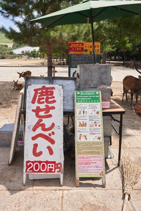 A deer cracker stand with a green umbrella and Japanese signs in a park with roaming deer, photographed for ODDA Magazine.