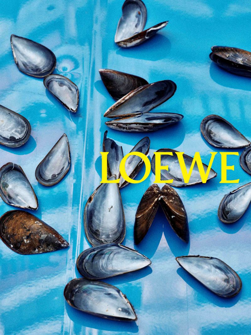 Scattered mussel shells on a vibrant blue background with bright yellow Loewe text across the center