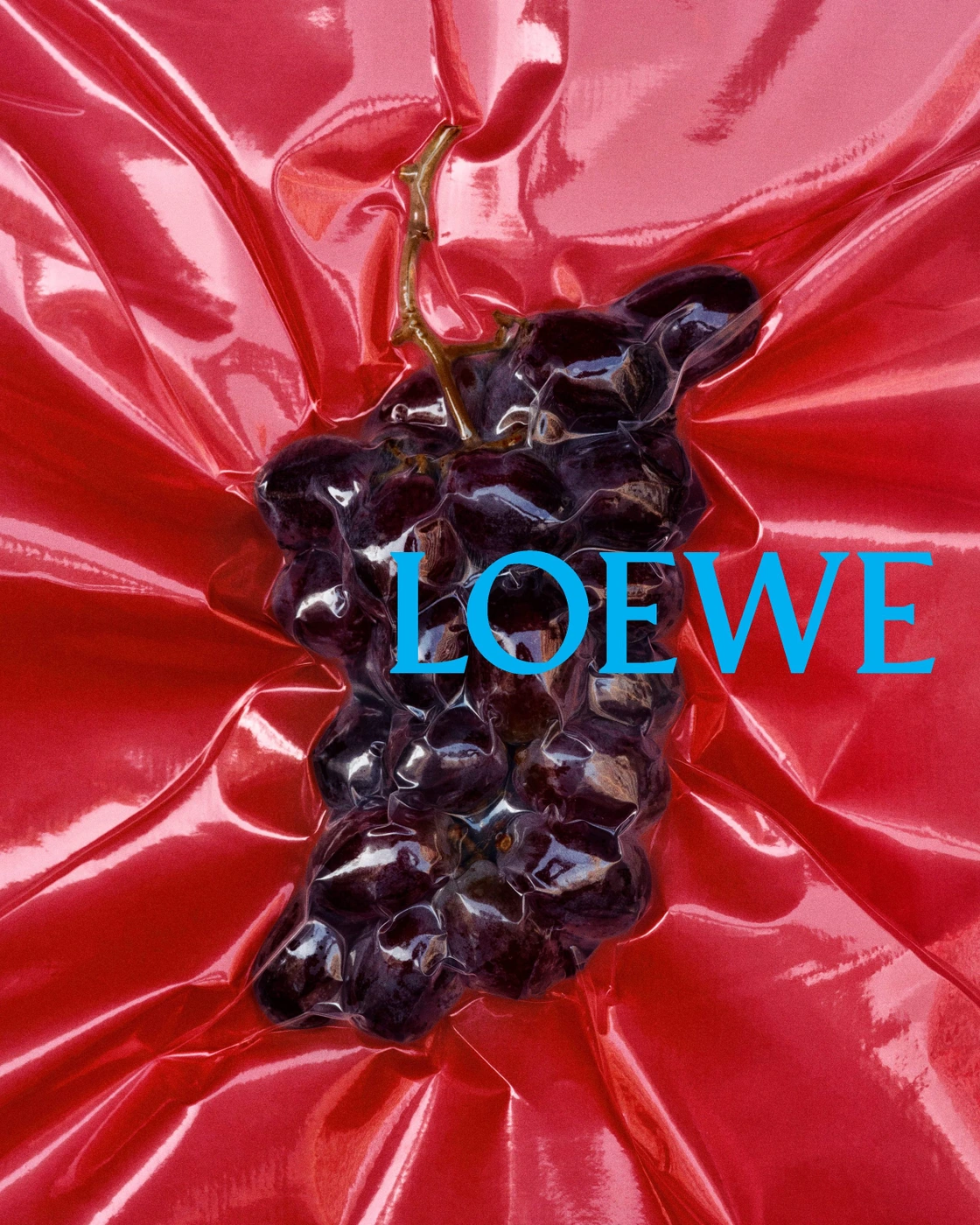 Cluster of dark purple grapes vacuum-sealed inside glossy red plastic wrapping with bright blue text