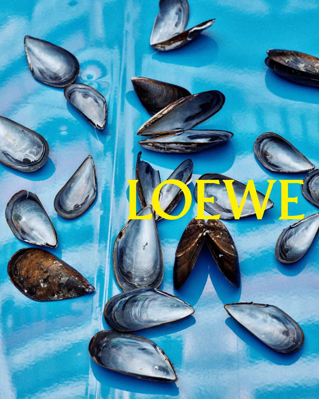 Scattered mussel shells on a vivid blue surface with yellow Loewe typography