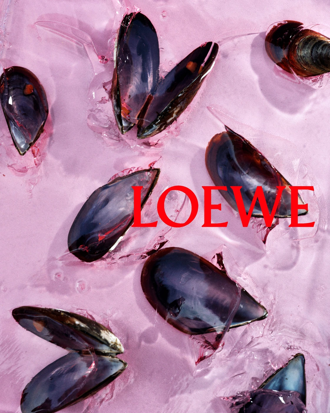 Mussels embedded in transparent glossy gel against a pale pink background with bold red Loewe text