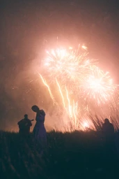 Silhouetted figures standing in a grassy field beneath bright golden fireworks bursting across a dark night sky.