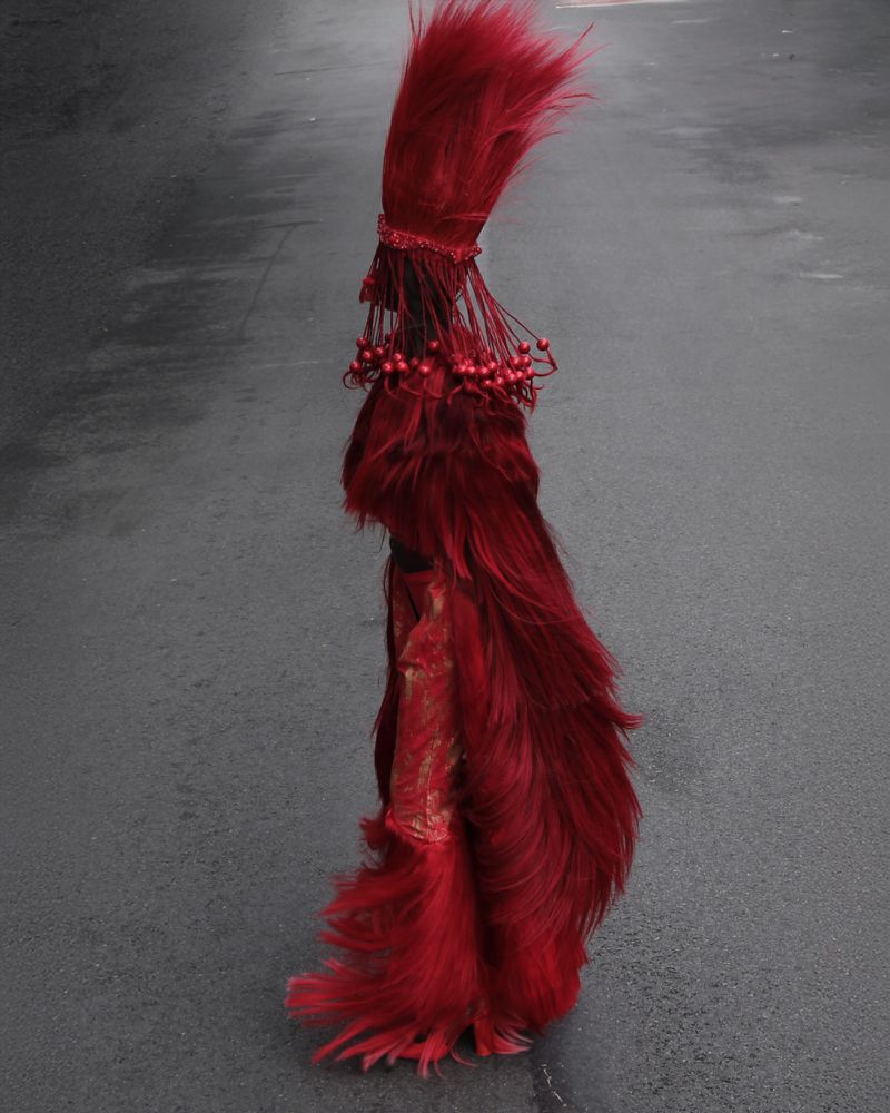 Red feathered headdress with bead accents, resting on a gray surface. The bright colors and texture contrast with the plain background.