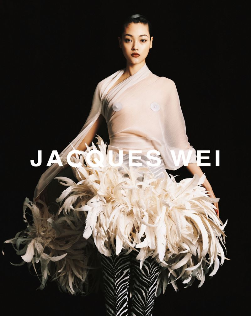Fashion shot of a woman in a sheer top, feather skirt, and zebra-striped pants against a black backdrop. Jacques Wei logo.