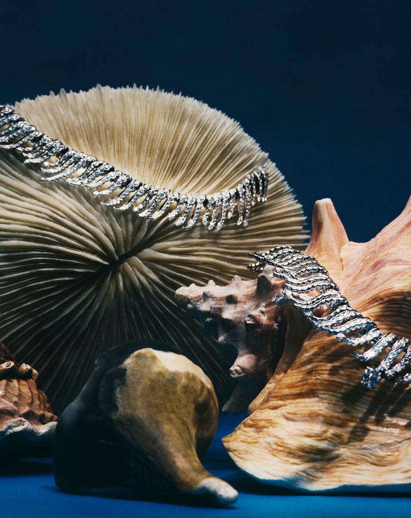 Diamond jewelry draped across textured sea coral and natural seashells against a deep blue background.