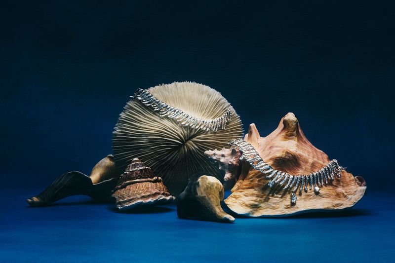 Elegant jewelry display featuring diamond bracelets draped over various seashells against a deep blue backdrop in a studio setting.