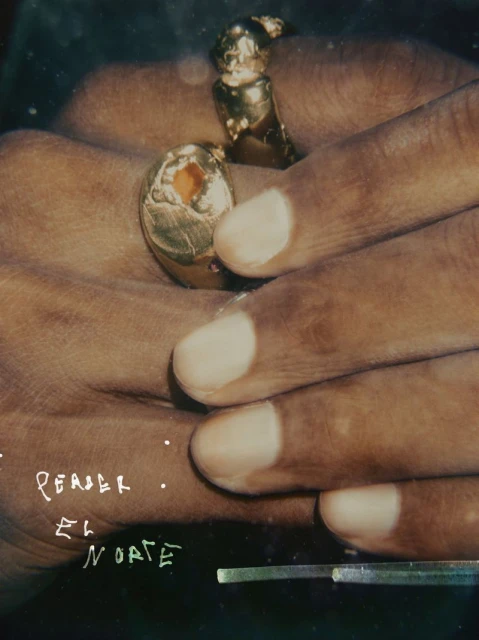 Close-up of a person's hands adorned with distinctive gold rings, the composition offering a detailed focus on the jewelry.