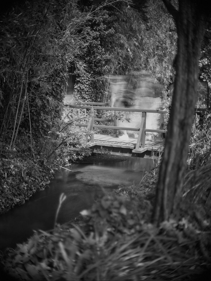 Black and white image of a small wooden bridge over a stream surrounded by dense vegetation and a blurred figure in the background.