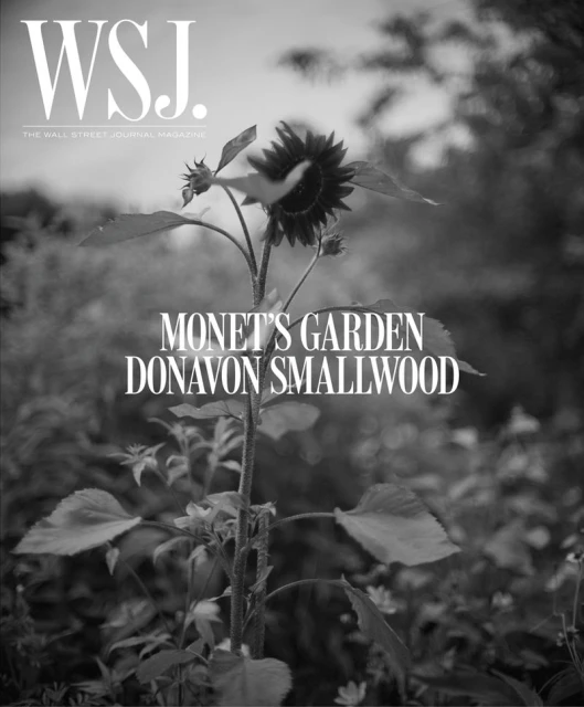 Black and white photograph of a tall sunflower in an outdoor garden, as featured on the cover of WSJ. Magazine.