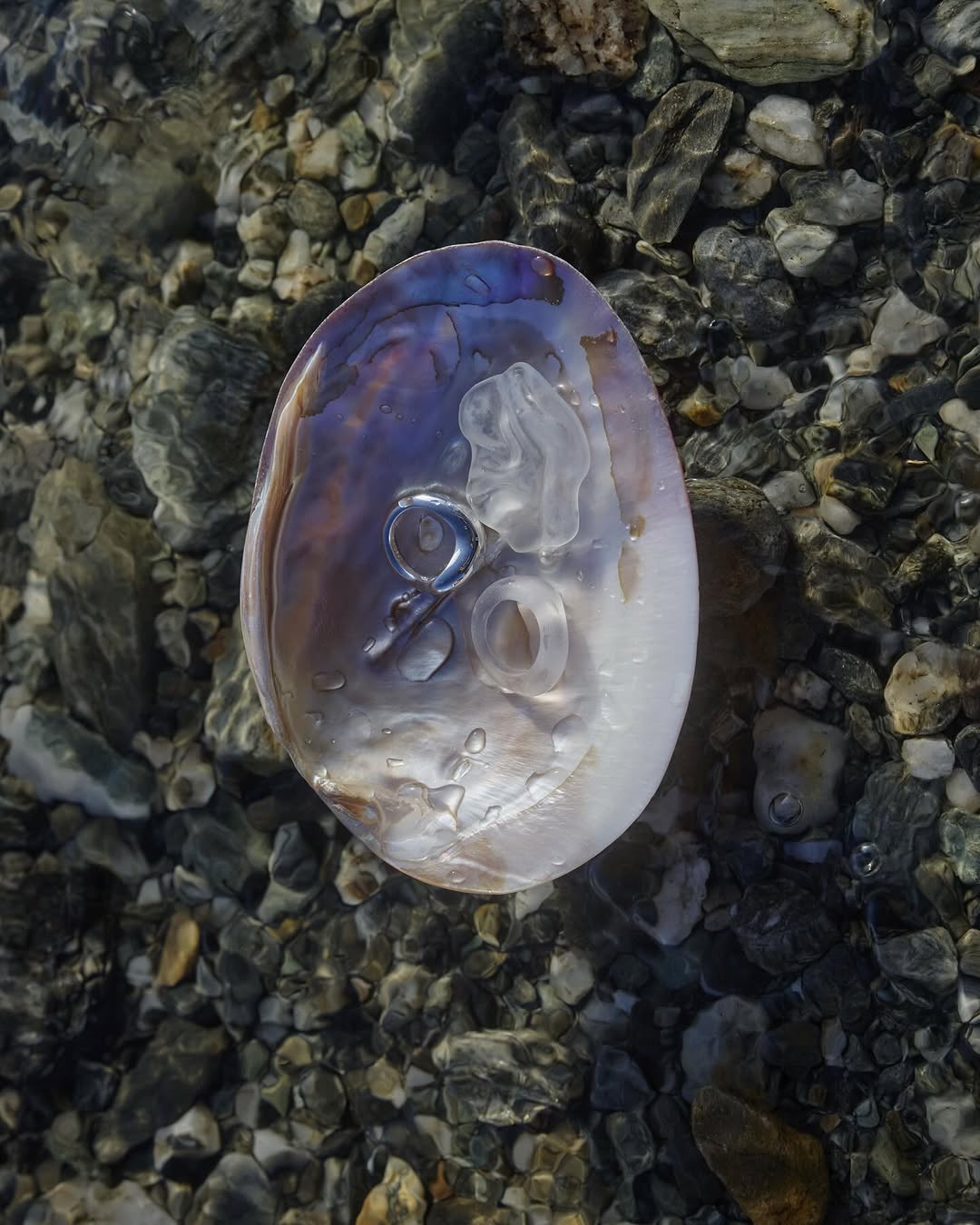 Close-up of an iridescent shell with water droplets, partially submerged in clear water over a bed of smooth, grey river stones.