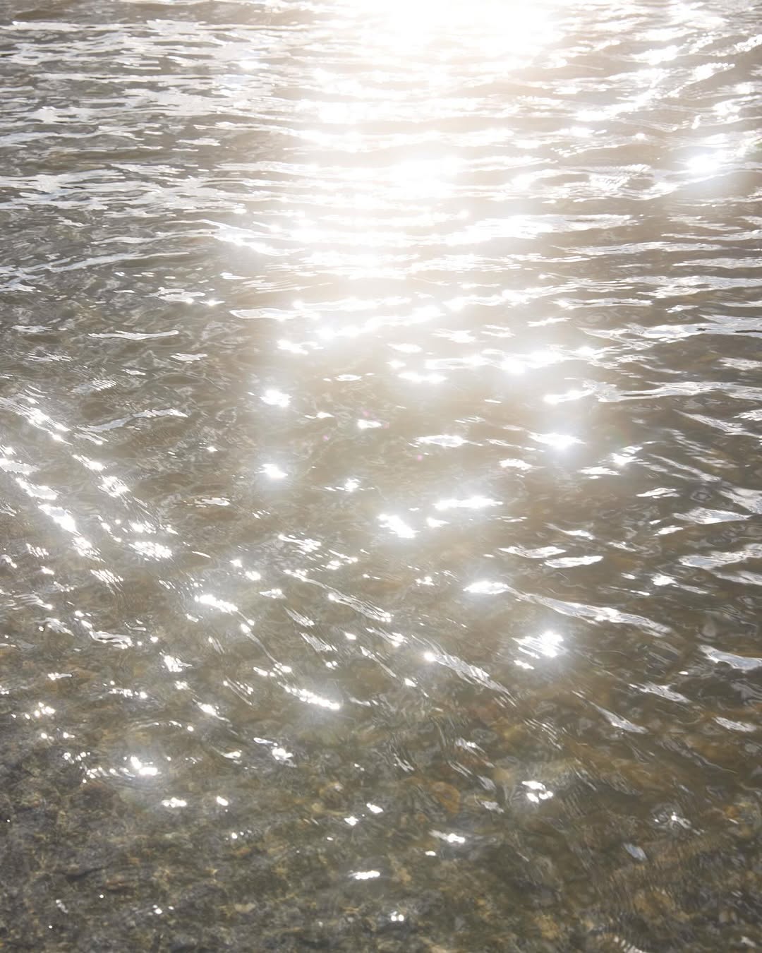 Sunlight reflects off a body of water, creating a shimmering effect on the surface, with blurred rocks visible below the water.