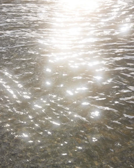 Sunlight reflects off a body of water, creating a shimmering effect on the surface, with blurred rocks visible below the water.