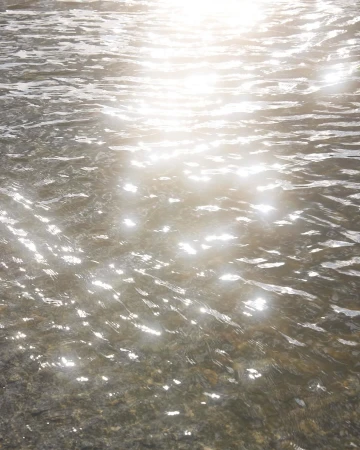 Sunlight reflects off a body of water, creating a shimmering effect on the surface, with blurred rocks visible below the water.