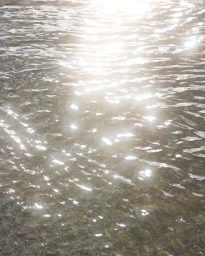 Sunlight glinting off shallow flowing water with visible river stones below