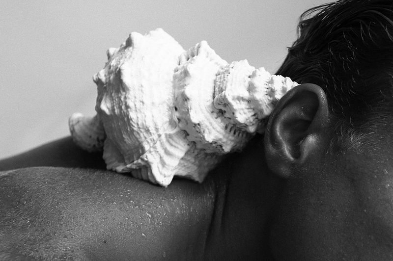 Close-up black and white image featuring a large seashell placed near a person's ear, with focus on the textures and contrasts.
