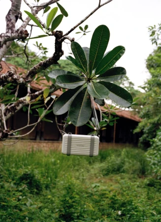 Silver miniature suitcase hangs by a strap from a branch with dark green leaves, set against a backdrop of grassy field and wooden building.