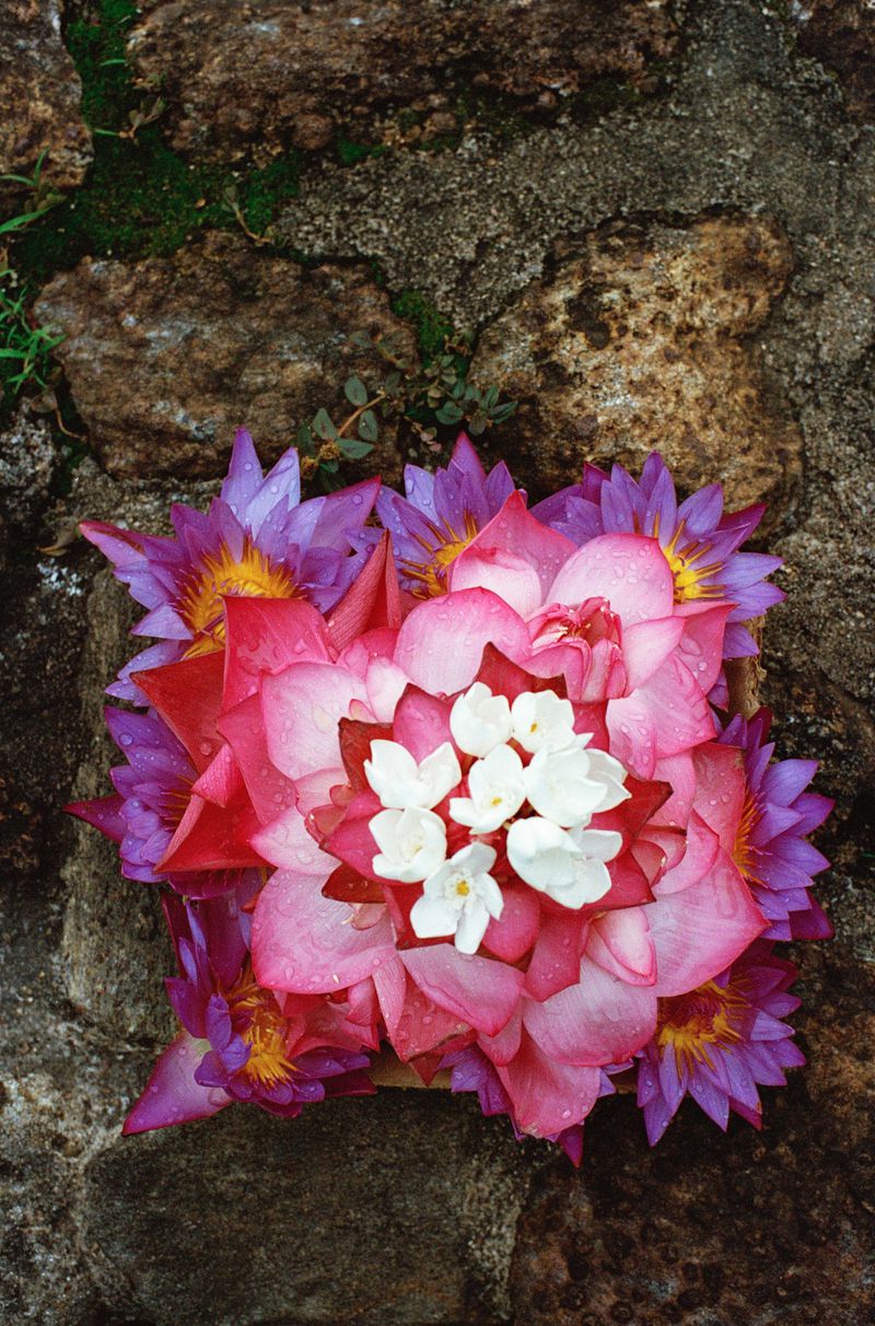 Close-up of flowers with pink, purple, and white petals arranged in a layered pattern on a textured stone wall covered in moss.