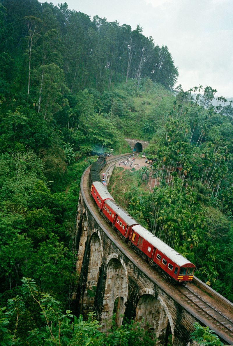 A red passenger train on a stone viaduct winds through a green, lush forest in a scenic landscape, with trees and hills.