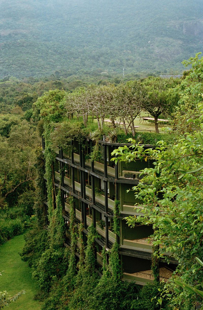 Exterior of a green, multi-story hotel building overgrown with vines and surrounded by a lush, green forest in a tropical location.