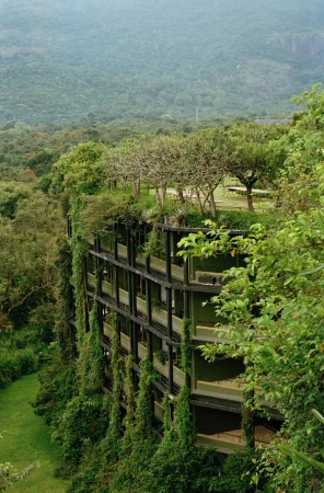 Exterior of a green, multi-story hotel building overgrown with vines and surrounded by a lush, green forest in a tropical location.
