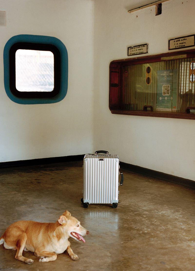 A tan-colored dog lies next to a silver suitcase in a room with a blue-framed window and a ticket window, creating a travel scene.