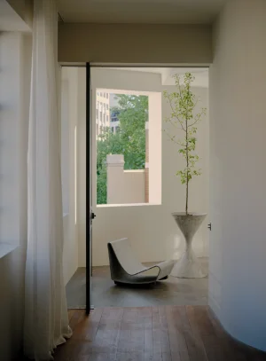 Minimalist interior view through a doorway featuring a low sculptural chair and potted tree in a bright room.