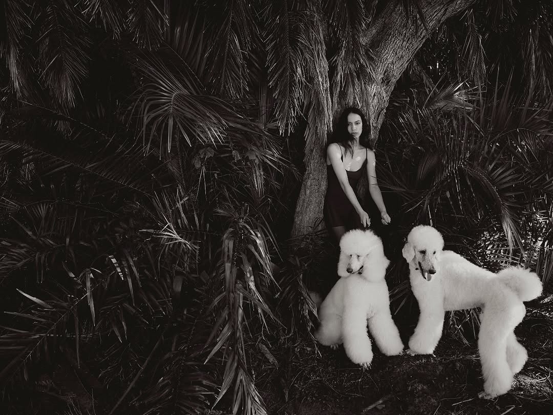 An elegant woman in a short dress poses with two white standard poodles in a lush, dark outdoor environment with palm trees and dappled light.