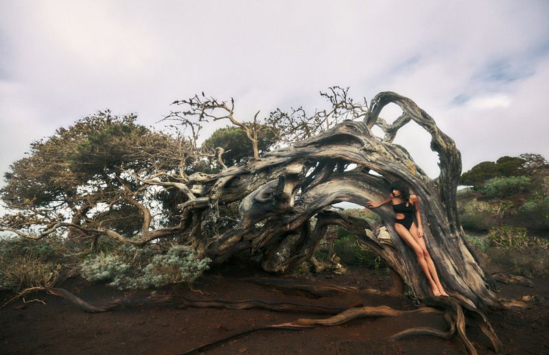 Woman in swimsuit posing in front of twisted old juniper tree with dramatic branches on a black sandy landscape under a cloudy sky.