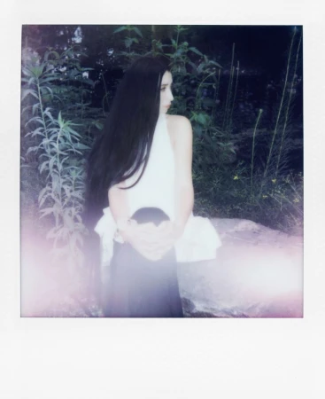 Lily Kwong Celebrates New York Fauna