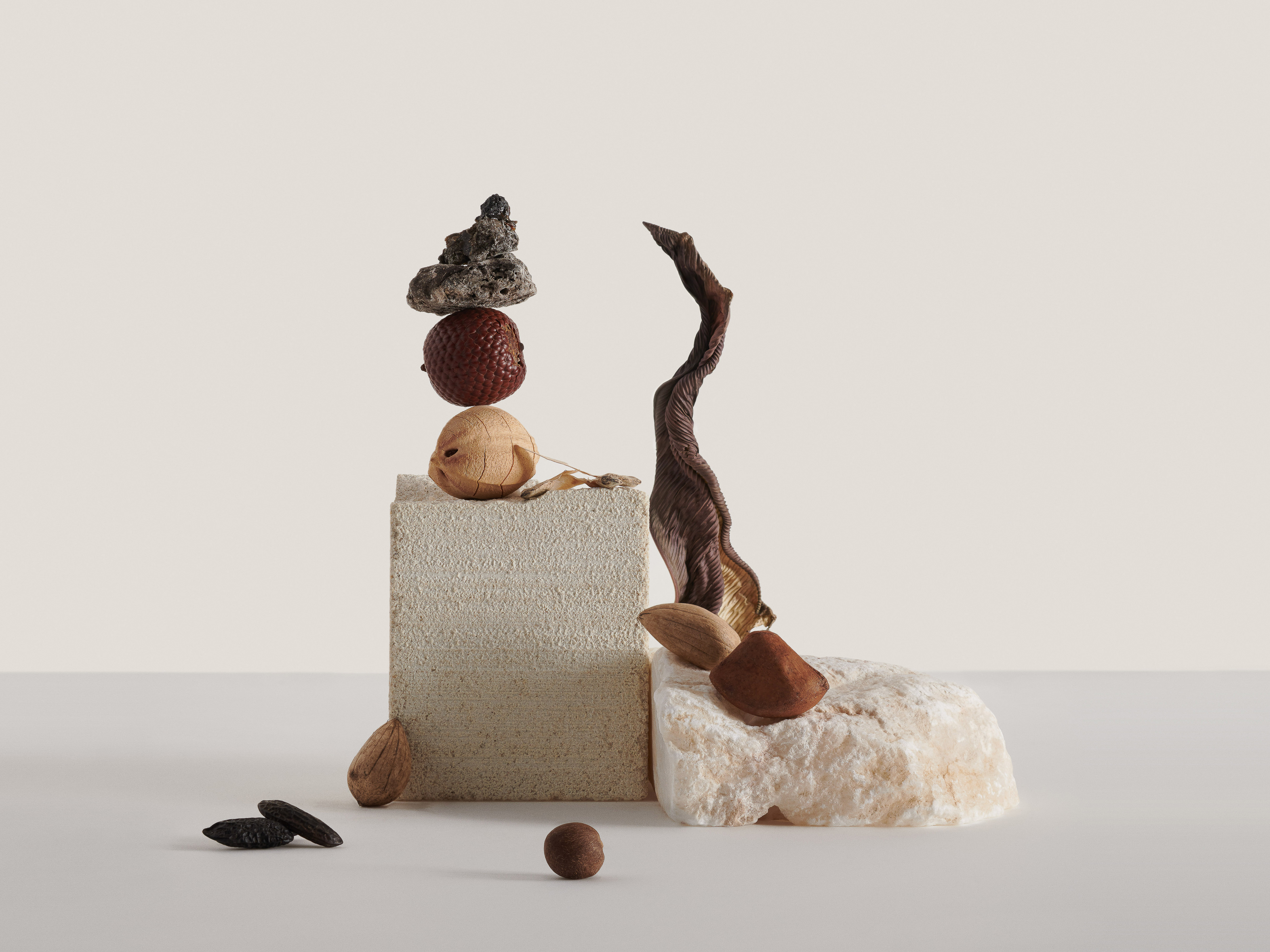 Still life composition with an assortment of textured natural elements, including stones, nuts, and twigs, arranged on geometric stone blocks.