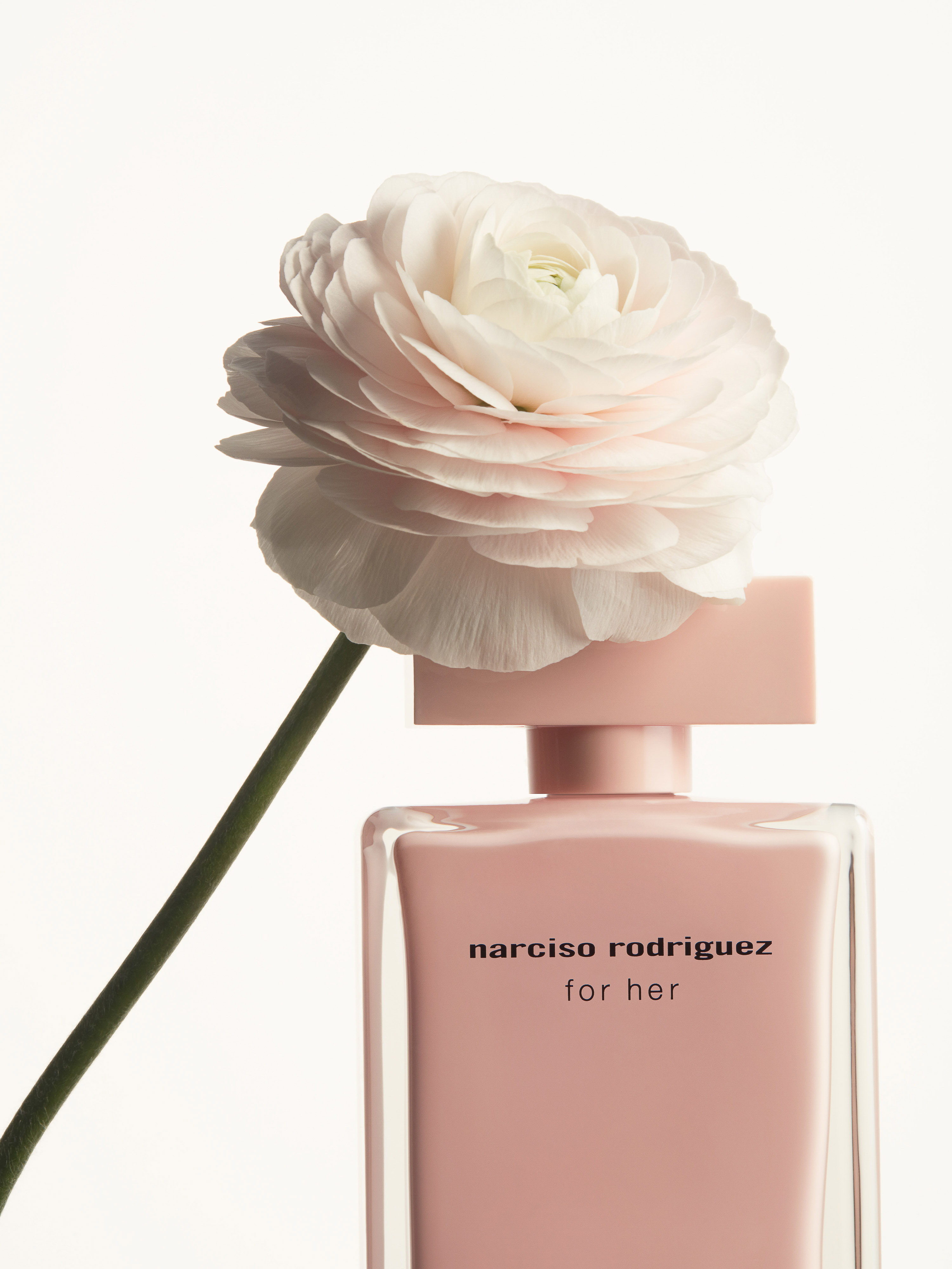 Narciso Rodriguez 'for her' perfume bottle with soft pink liquid, topped with a large pale pink ranunculus flower against a white background.