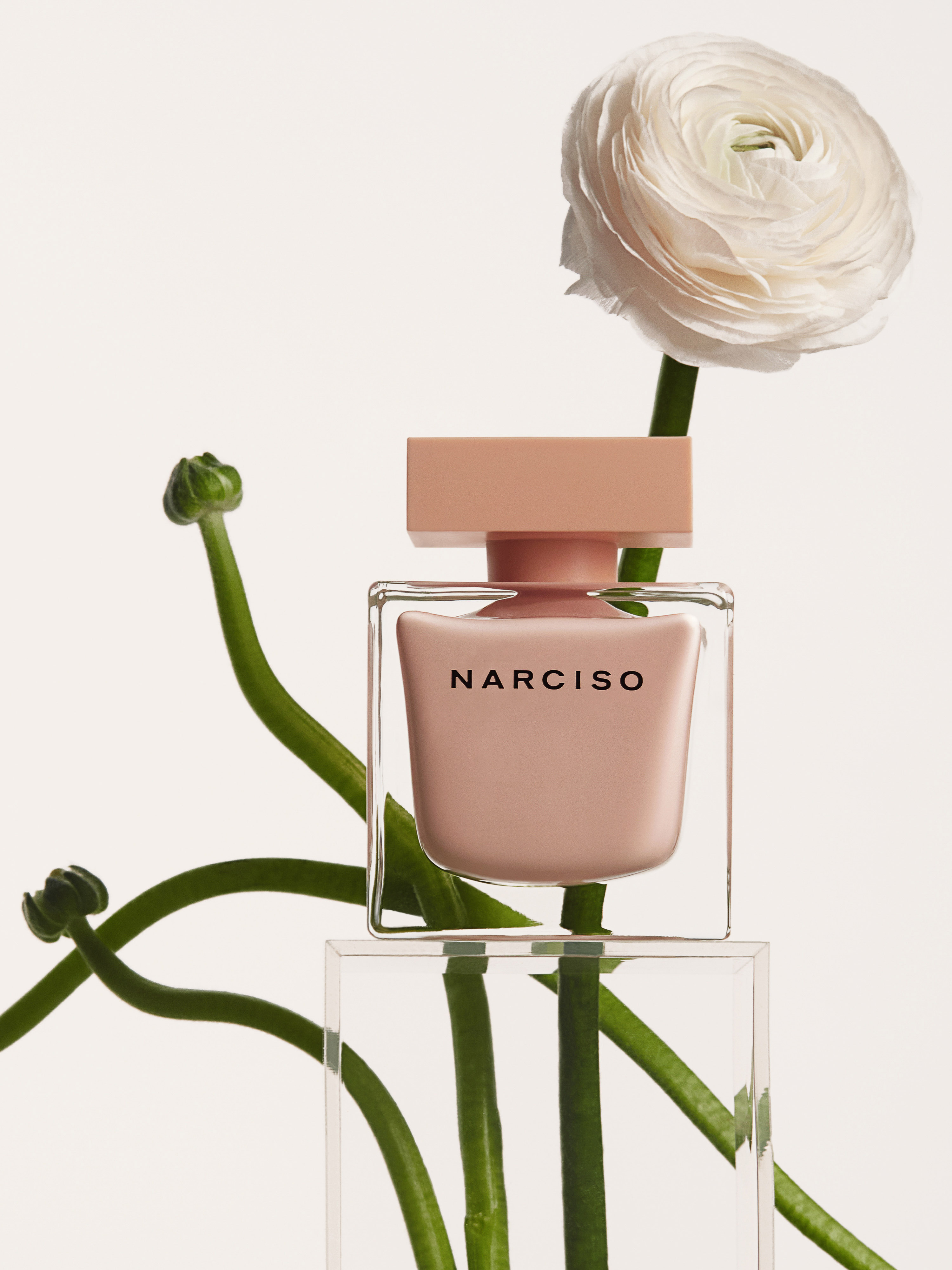 Elegant beauty shot of Narciso Rodriguez perfume bottle with ranunculus flower on bright backdrop, displaying cosmetic product beautifully.