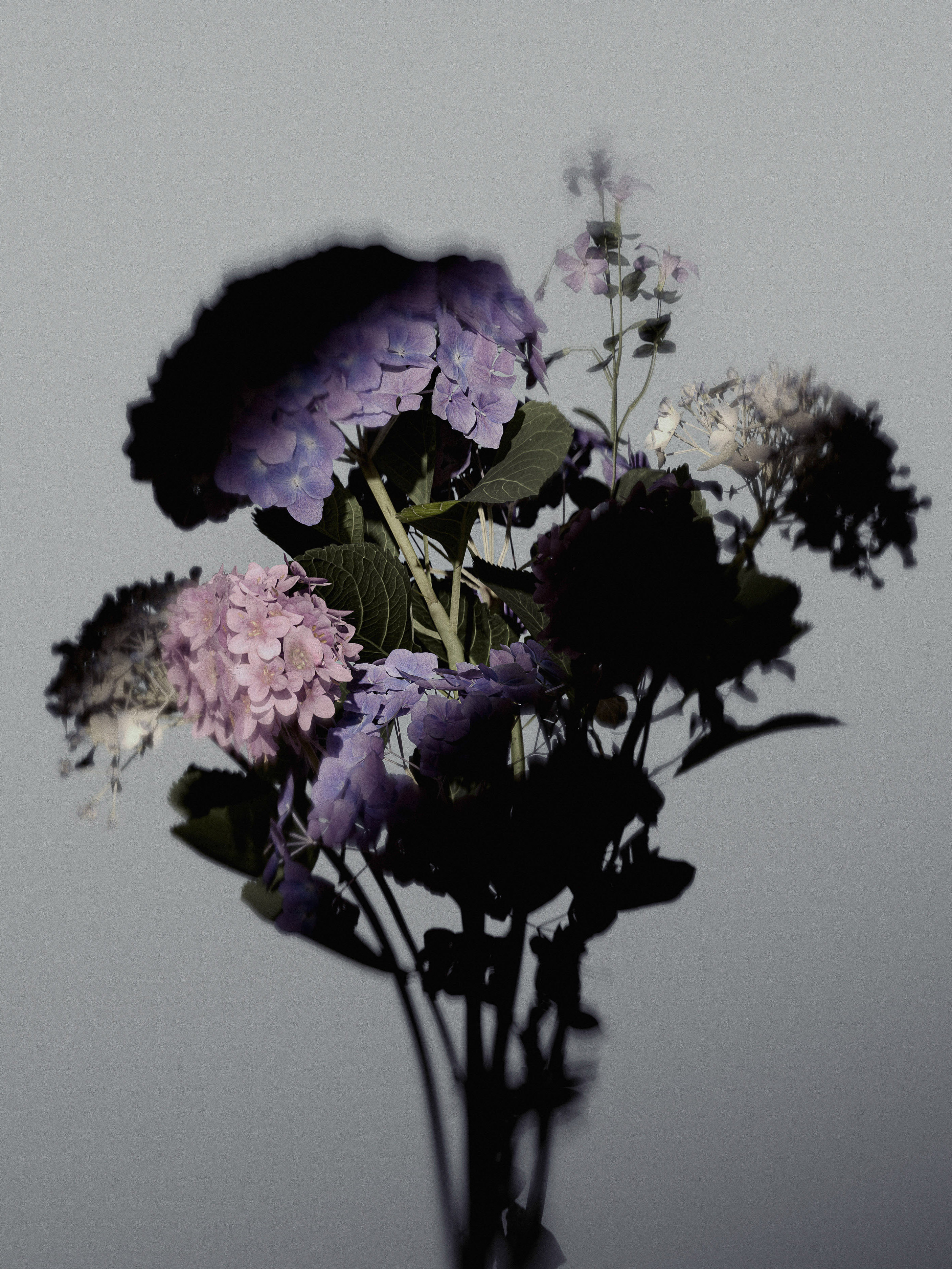 Floral arrangement featuring light purple and white hydrangea blossoms in a glass vase, set against a soft gray background.