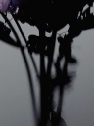 Dark silhouettes of plant stems and flowers cast against a pale grey textured background in a minimalist digital composition.
