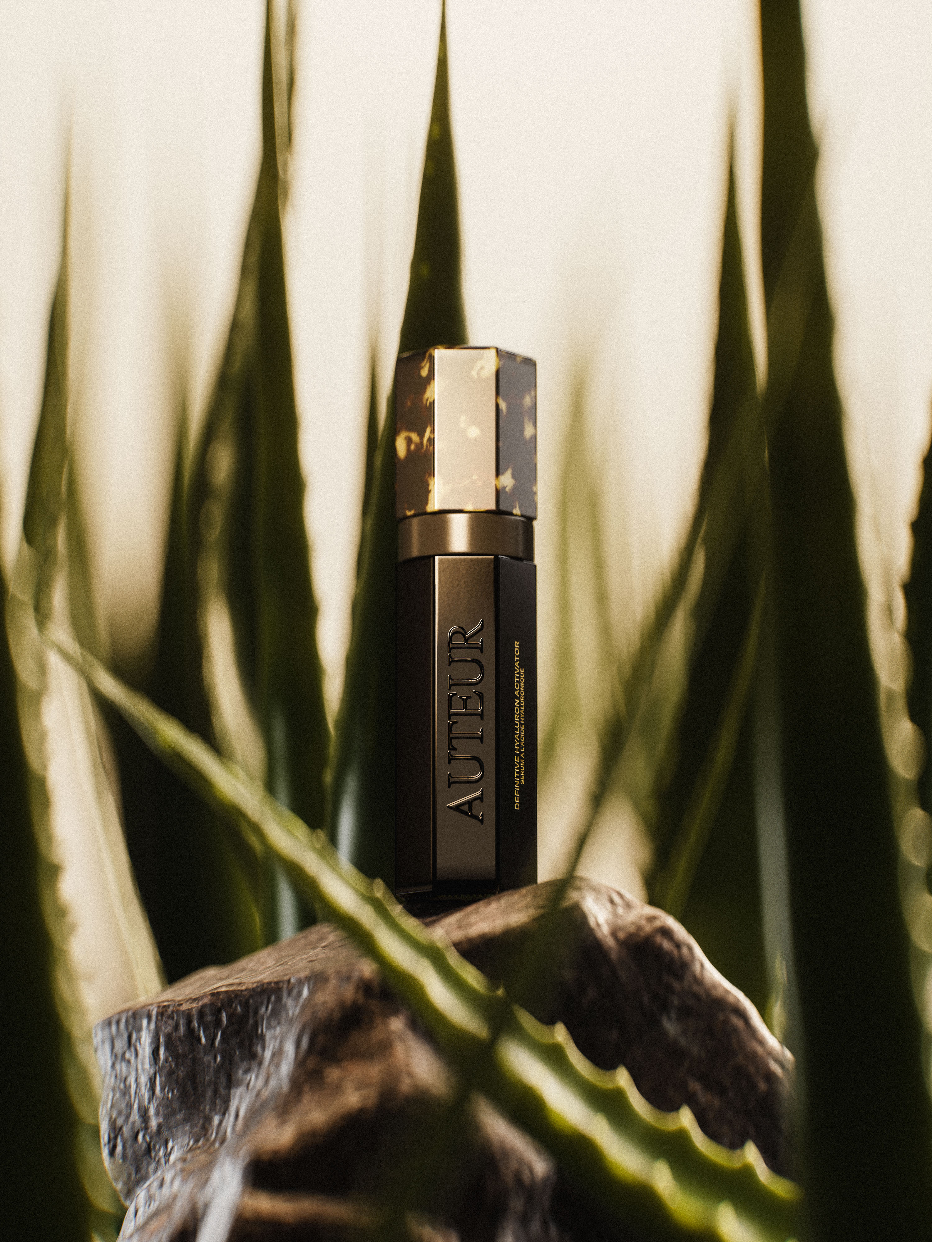 Auteur product bottle on a rock, close-up shot, framed by aloe vera leaves, neutral background, high-end beauty and skincare.