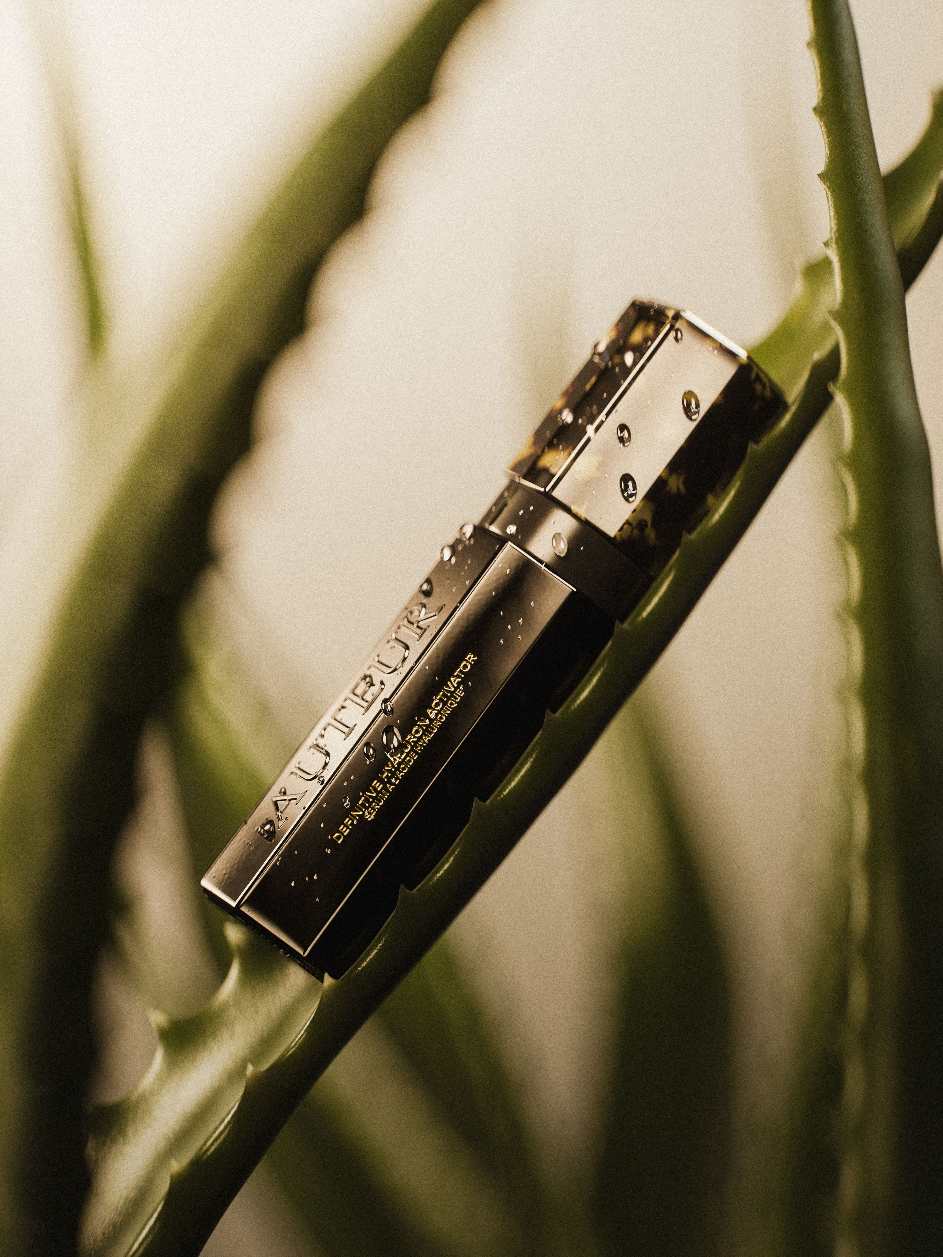 Elevated view of a black and gold cosmetic container labeled AUTEUR, resting on a bright green aloe plant stem. Studio shot.